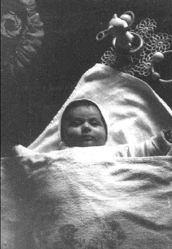 Orastie, 1973