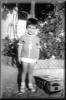 Catalin